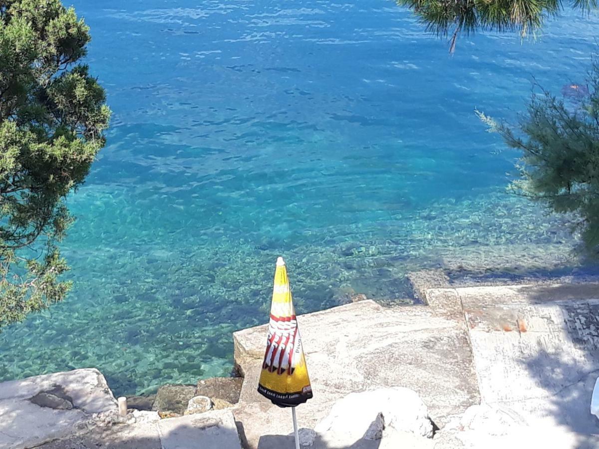 Apartmani Balazic Klek Εξωτερικό φωτογραφία